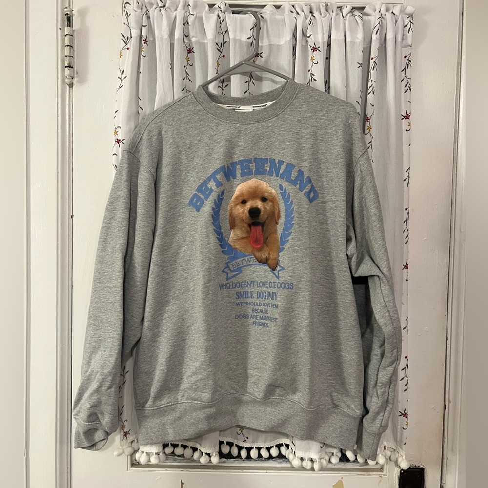 Grey Sweatshirt ft. Cutie Golden Retriever